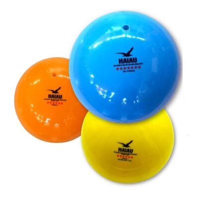 Quả Bóng Chuyền Hơi Hải Âu